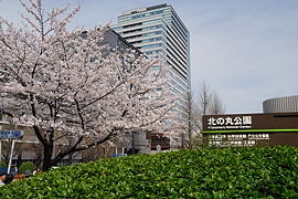 北の丸公園入り口